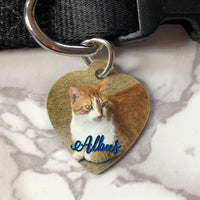 heart shaped pet id tag with your pets picture and custom text