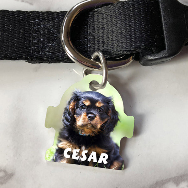 Hydrant shaped pet id tag with your pets photo and name